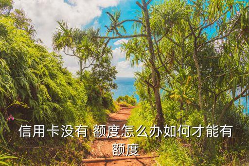  信用卡没有 额度怎么办如何才能有 额度