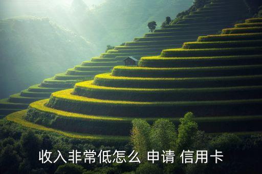 收入非常低怎么 申请 信用卡