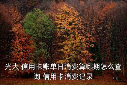 光大 信用卡账单日消费算哪期怎么查询 信用卡消费记录