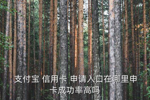  支付宝 信用卡 申请入口在哪里申卡成功率高吗