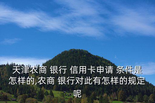 天津农商 银行 信用卡申请 条件是怎样的,农商 银行对此有怎样的规定呢