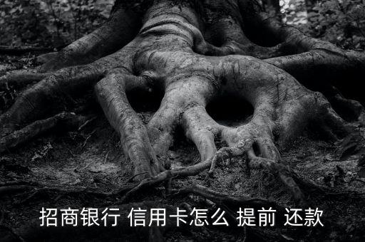 招商银行 信用卡怎么 提前 还款