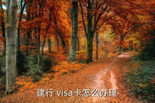 建行 visa卡怎么办理
