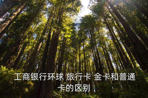  工商银行环球 旅行卡 金卡和普通卡的区别