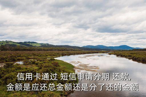  信用卡通过 短信申请分期 还款,金额是应还总金额还是分了还的金额