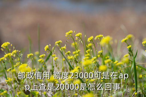 邮政信用 额度23000可是在app上查是20000是怎么回事