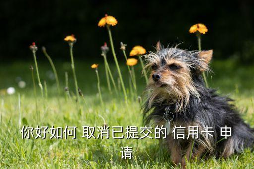 你好如何 取消已提交的 信用卡 申请