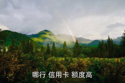 哪行 信用卡 额度高