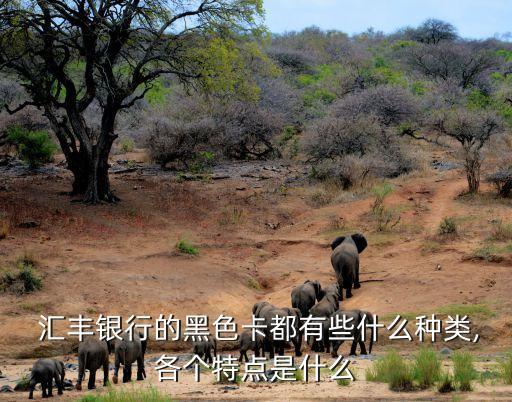  汇丰银行的黑色卡都有些什么种类,各个特点是什么