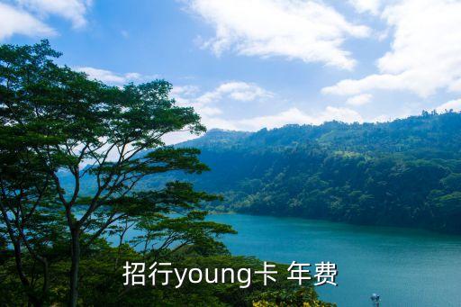 招行young卡 年费