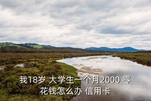 我18岁 大学生一个月2000 零花钱怎么办 信用卡