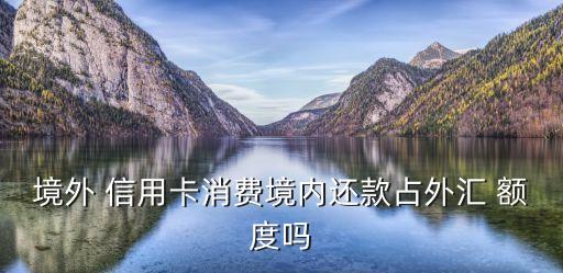 境外 信用卡消费境内还款占外汇 额度吗