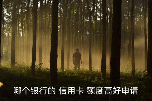 哪个银行的 信用卡 额度高好申请
