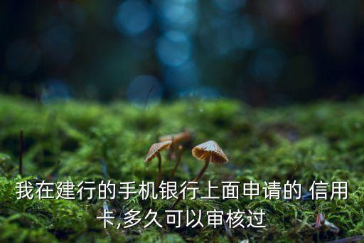 我在建行的手机银行上面申请的 信用卡,多久可以审核过