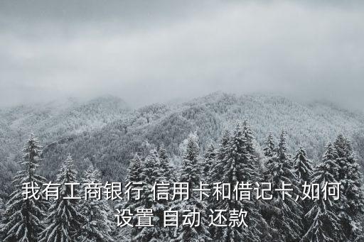 我有工商银行 信用卡和借记卡,如何设置 自动 还款