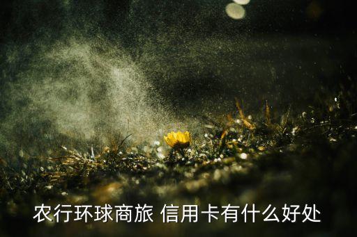 农行环球商旅 信用卡有什么好处