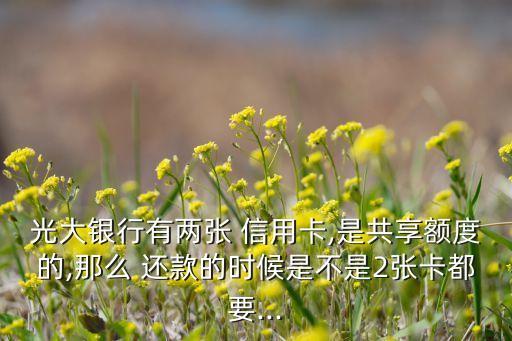 光大银行有两张 信用卡,是共享额度的,那么 还款的时候是不是2张卡都要...