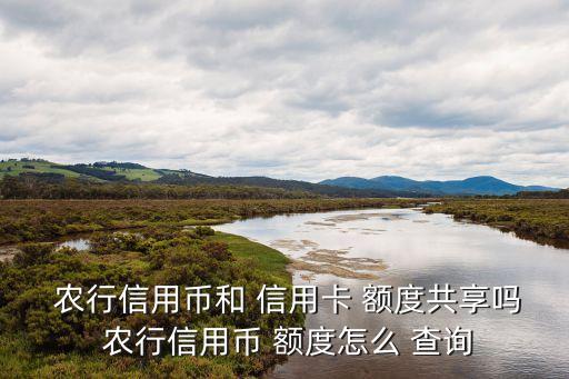  农行信用币和 信用卡 额度共享吗 农行信用币 额度怎么 查询