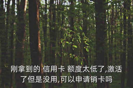刚拿到的 信用卡 额度太低了,激活了但是没用,可以申请销卡吗