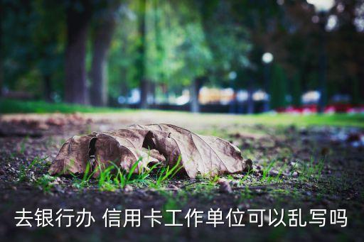 去银行办 信用卡工作单位可以乱写吗