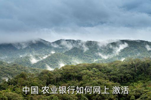 网申农业银行信用卡激活,农业银行信用卡没激活会扣年费么