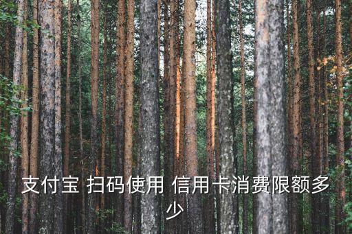 信用卡扫码不显示额度吗,用信用卡扫码显示不支持