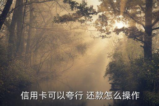 信用卡还款支持跨行转账