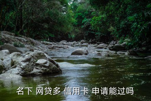 名下 网贷多 信用卡 申请能过吗