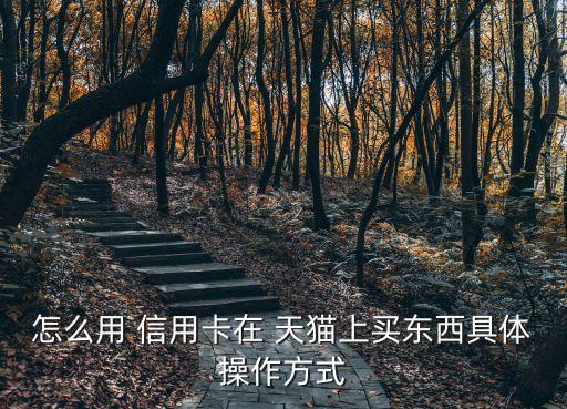 怎么用 信用卡在 天猫上买东西具体操作方式