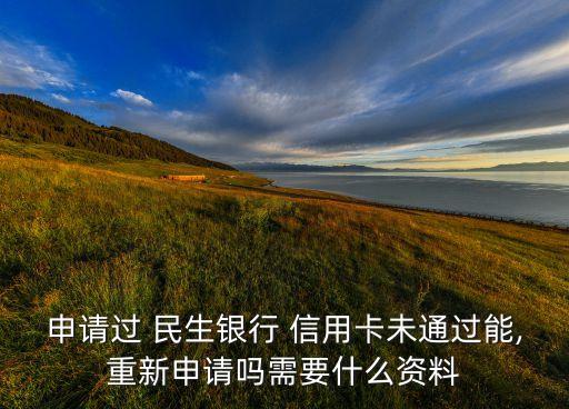 申请过 民生银行 信用卡未通过能,重新申请吗需要什么资料
