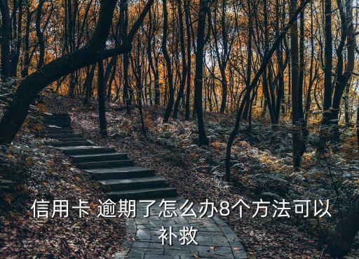  信用卡 逾期了怎么办8个方法可以补救