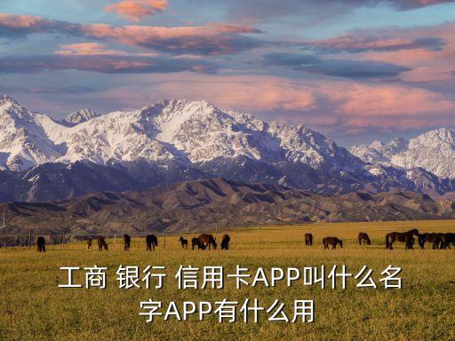  工商 银行 信用卡APP叫什么名字APP有什么用