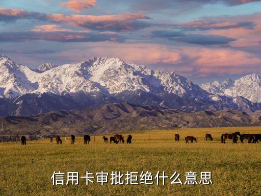  信用卡审批拒绝什么意思