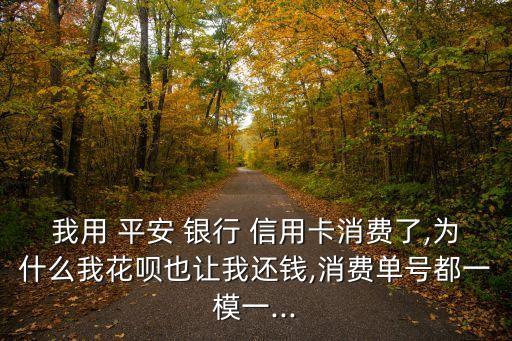 我用 平安 银行 信用卡消费了,为什么我花呗也让我还钱,消费单号都一模一...