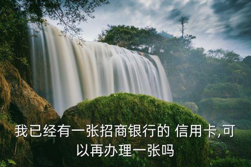 我已经有一张招商银行的 信用卡,可以再办理一张吗