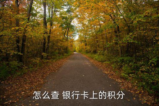 怎么查 银行卡上的积分