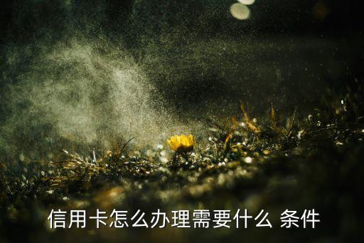  信用卡怎么办理需要什么 条件
