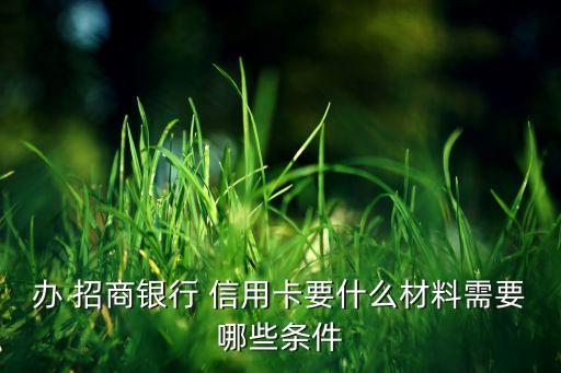 办 招商银行 信用卡要什么材料需要哪些条件