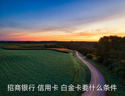 白金信用卡申请美加澳新旅游签证