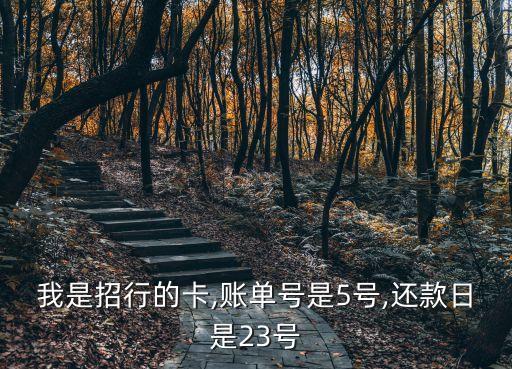 我是招行的卡,账单号是5号,还款日是23号