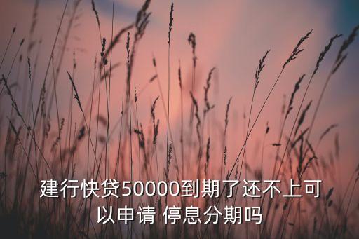  建行快贷50000到期了还不上可以申请 停息分期吗