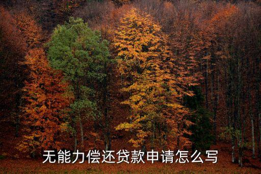 无能力偿还贷款申请怎么写
