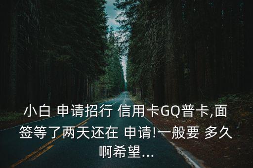 小白 申请招行 信用卡GQ普卡,面签等了两天还在 申请!一般要 多久啊希望...