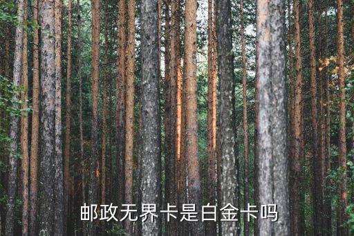 邮政银行信用卡1高端之选