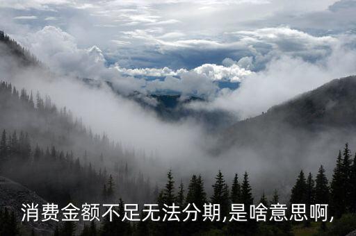 消费金额不足无法分期,是啥意思啊,