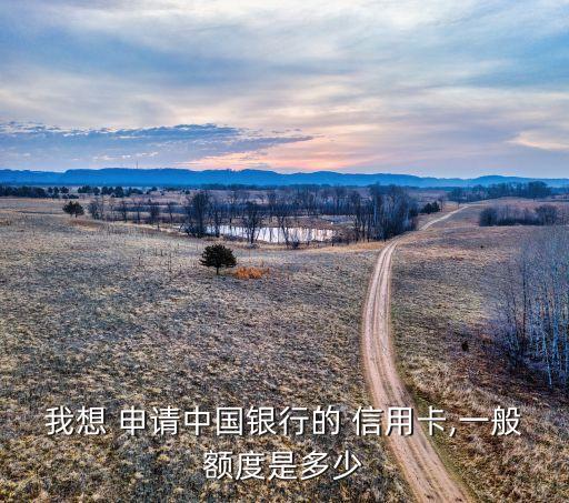 我想 申请中国银行的 信用卡,一般额度是多少