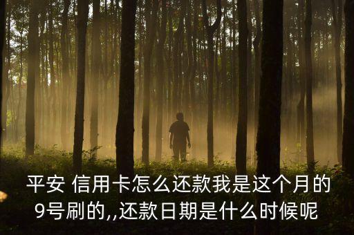  平安 信用卡怎么还款我是这个月的9号刷的,,还款日期是什么时候呢