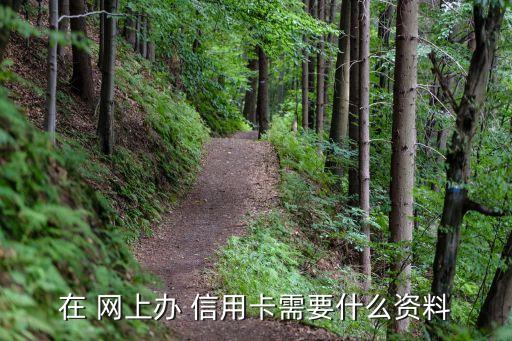 在 网上办 信用卡需要什么资料