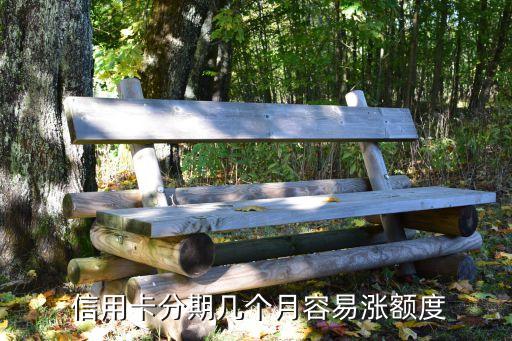  信用卡分期几个月容易涨额度