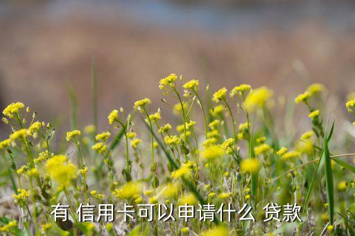 有 信用卡可以申请什么 贷款